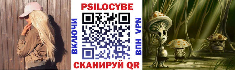 omg рабочий сайт  Козловка  Псилоцибиновые грибы Psilocybe  где продают наркотики 